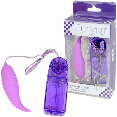 �v�������@�i�p�[�v���j(���[�^�[)