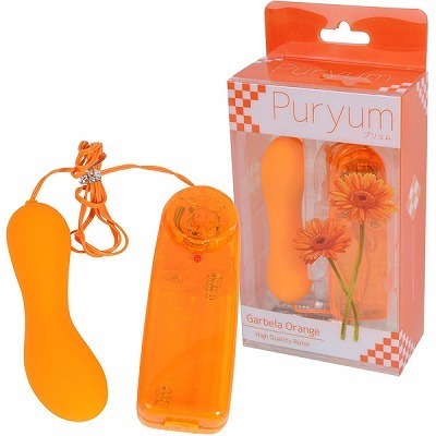 �v�������@�i�I�����W�j(���[�^�[)