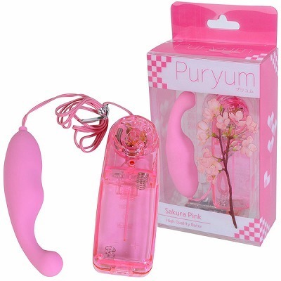 �v�������@�i�s���N�j(���[�^�[)