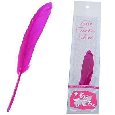 �����傱����@�i�r�j(�r�l�O�b�Y�E�S����)