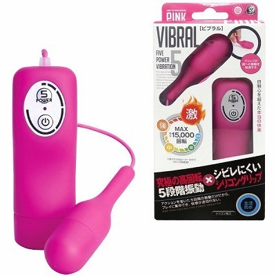 �r�u�����@�i�s���N�j(���[�^�[)