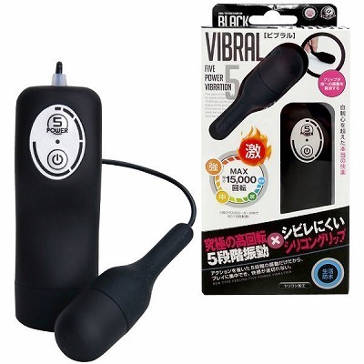 �r�u�����@�i�u���b�N�j(���[�^�[)