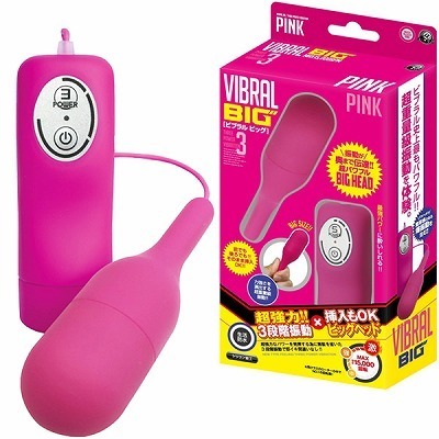 �r�u�����@�r�b�O�@�i�s���N�j(���[�^�[)