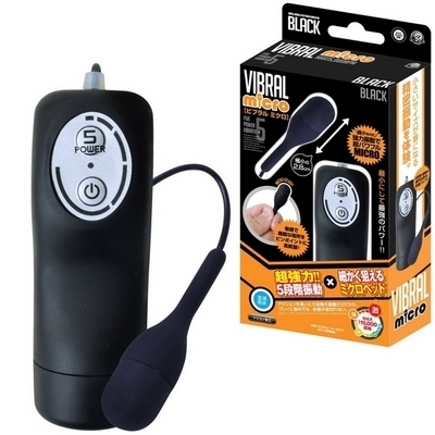 �r�u�����@�~�N���@�i�u���b�N�j(���[�^�[)