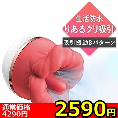 �y�Q�T�X�O�~�����ʌ���z�z���{�y���y���U���u�؂낿��σN���j���[�^�[�v�@�a�����@�l��������(��������)