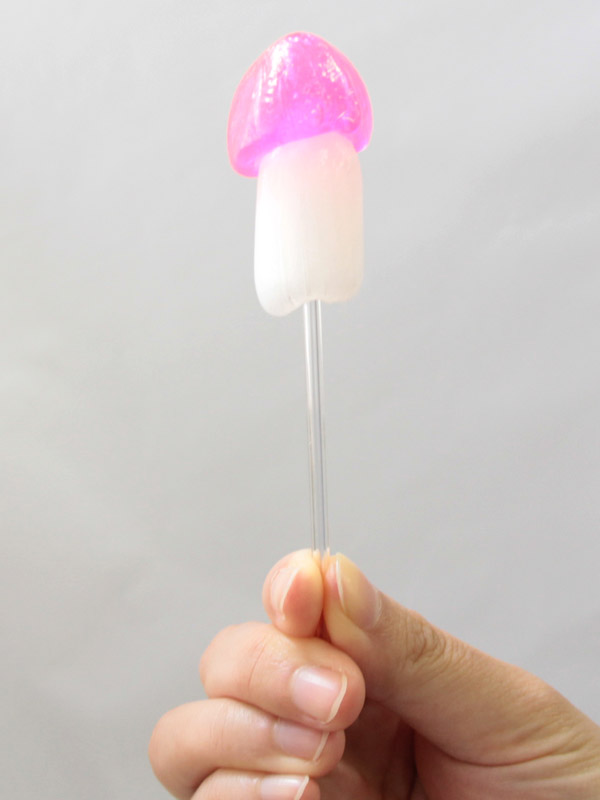 �Ղ�������