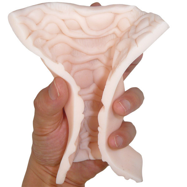 �I�i�V�[�@�l�n�m�r�s�d�q�@�i�o���j