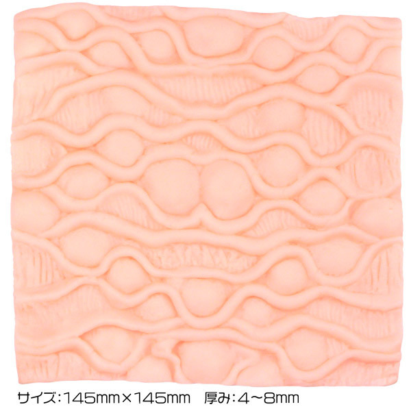 �I�i�V�[�@�l�n�m�r�s�d�q�@�i�o���j