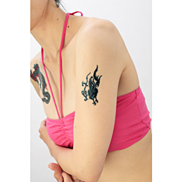 �^�g�D�[�V�[���@�K���[�_�Q