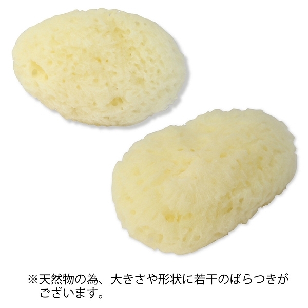 �V�R�C�ȁ@��T�����@�i�P�O�O����j