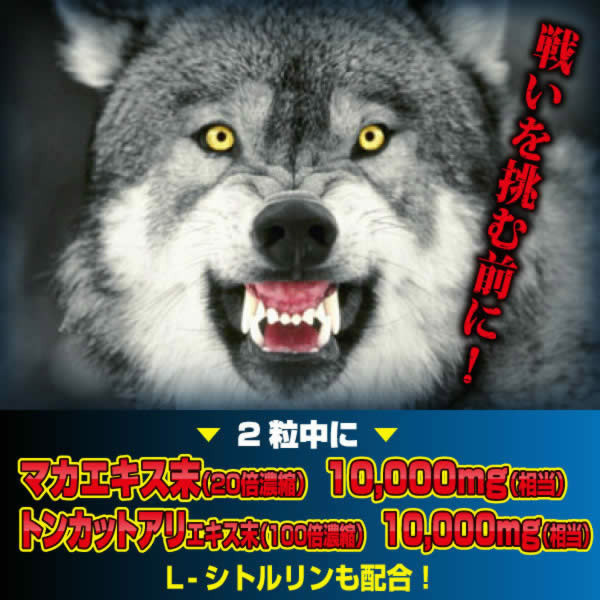 �h���T�J�v�Z���@�i�R�񕪁j