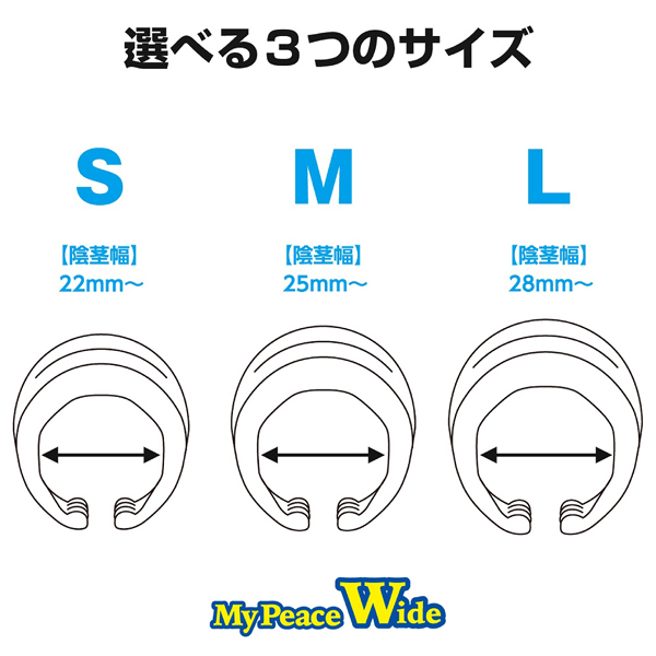 �}�C�s�[�X���C�h�@�\�t�g��p�@�i�r�j