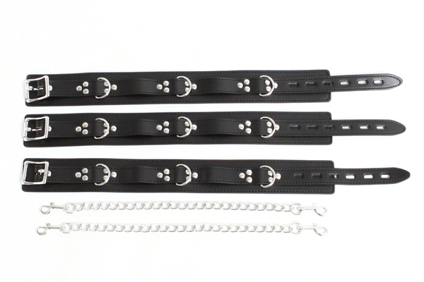 ���r�l�@�u�h�o����E�������S���l���J�r�x���g