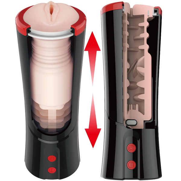 �v���e�B���u�@�i�s�X�g���}�X�^�[�x�[�V�����J�b�v�j