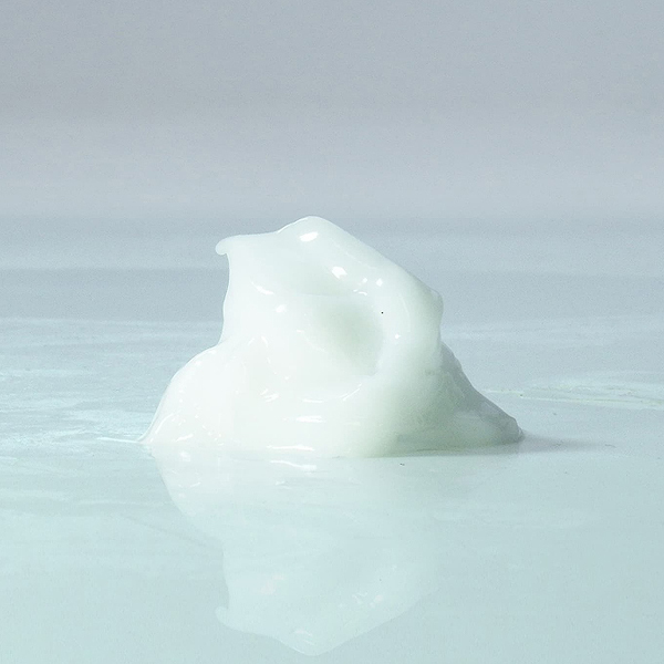 ��΃C�J����N���[���U�@�Ɂ@���̐�ց@�i�ԗ��@�����c��̋Ɂj