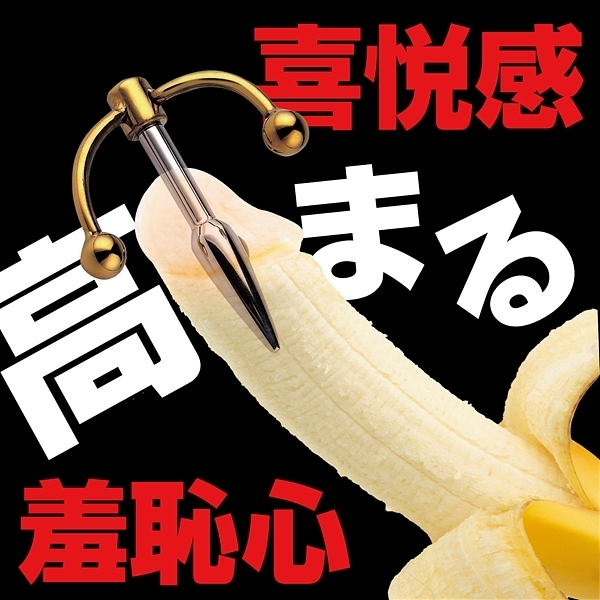 �l���������@�o�|���������i���^���o�v���O�j�@�S�[���h�A���J�[