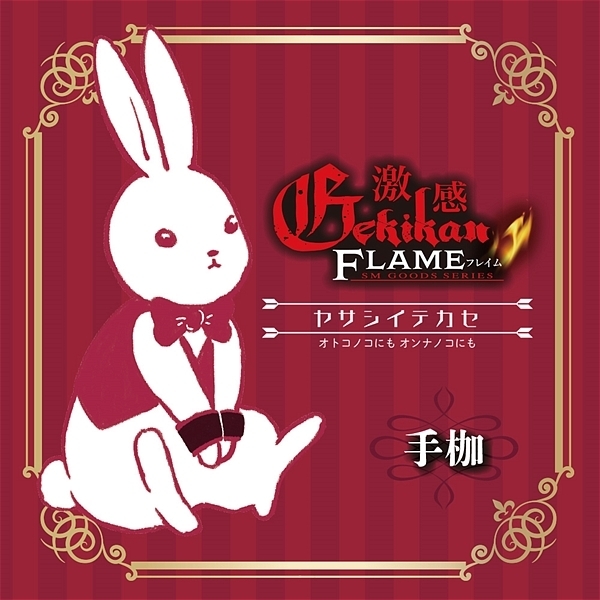 �����t���C���@�i���T�V�C�e�J�Z�@��g�j