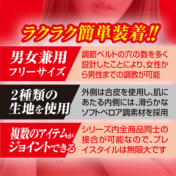 �r�l�������i�X�}�[�g�j�@�T�@��