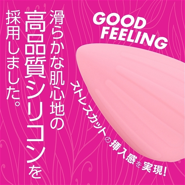 �A�i�v���@�i�k�T�C�Y�j