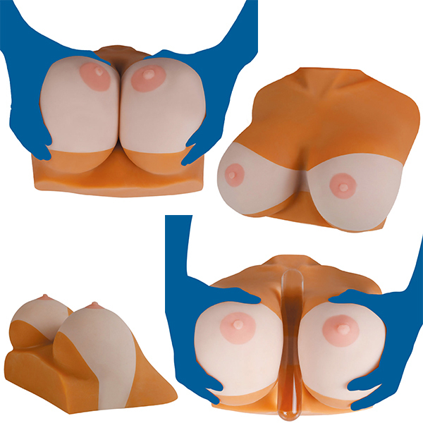 ���Ă��M�����̃r�b�`�p�C�I�I�@�i�m�[�}���j