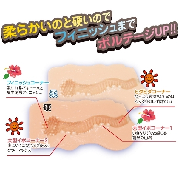 ��ēV���@�o�j�������