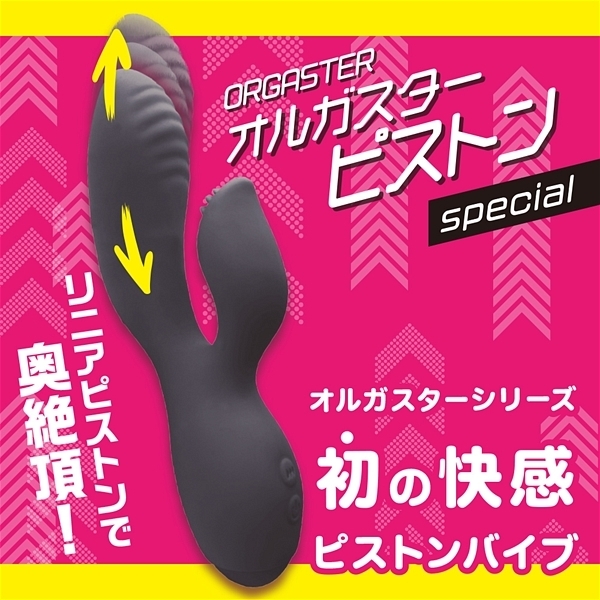 �I���K�X�^�[�@�s�X�g���@�r������������