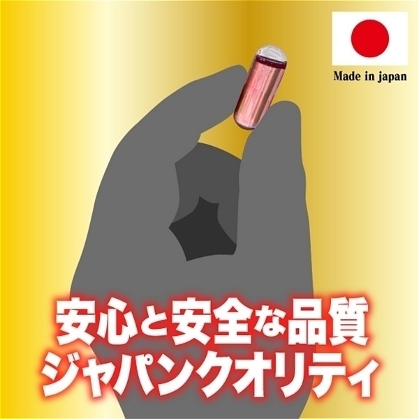 ���������o���@�ԊL���������������