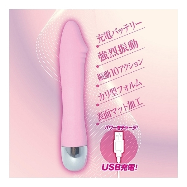 �`���[�W�X�e�B�b�N�@�i�f�B�b�N�j