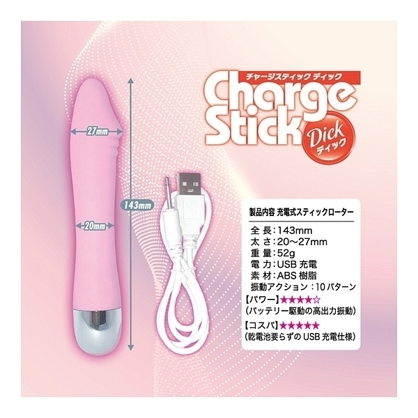 �`���[�W�X�e�B�b�N�@�i�f�B�b�N�j