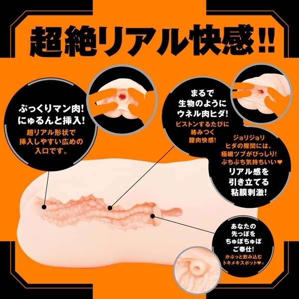 �Ղɂ��ȃ��C�h�q�d�`�k