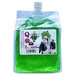 Queenローション 1000ml (グリーン)(業務用品) Queenローション 1000ml (グリーン)(業務用品)