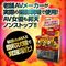 ���C�L���E���V�@�ԊL�Ⓒ��������������